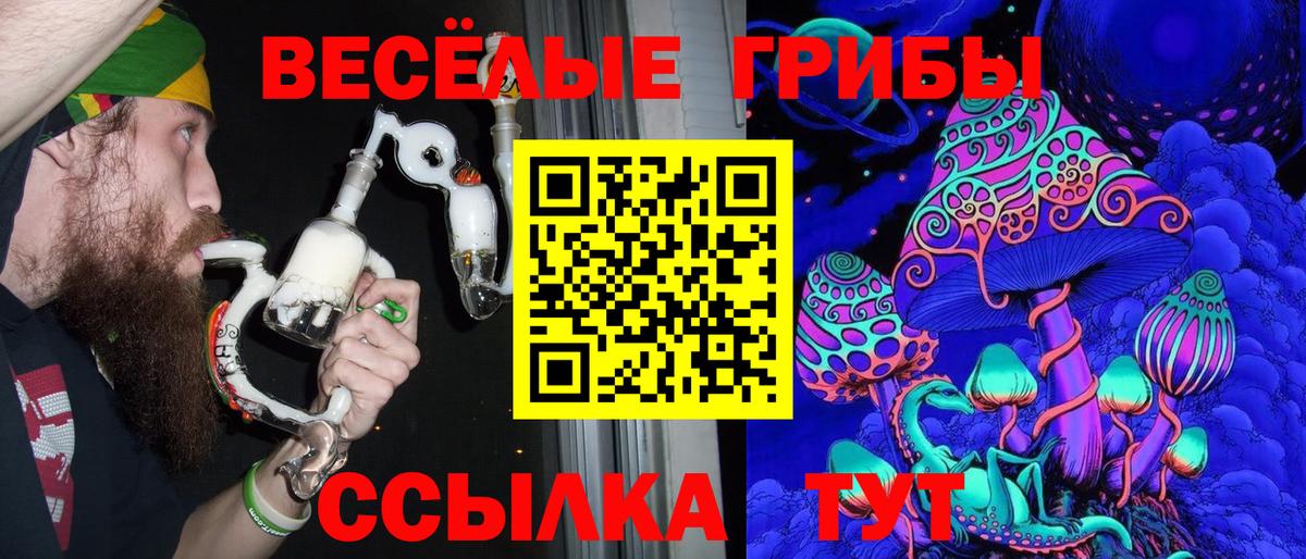 Псилоцибиновые грибы мухоморы  Галлюциногенные грибы Magic Shrooms  Сокол  Вход с VPN 